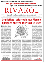 Rivarol n°3286 du 7/6/2017 (Papier)